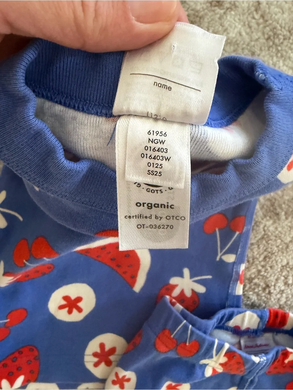 Hanna Andersson Blue Red White Fruit Print Pajama Set